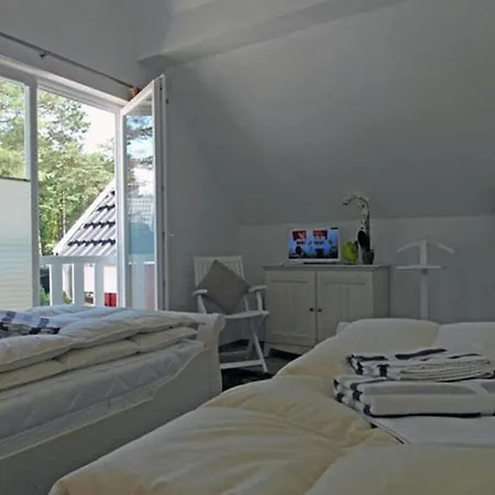 Sea Pine Comfortable Glowe