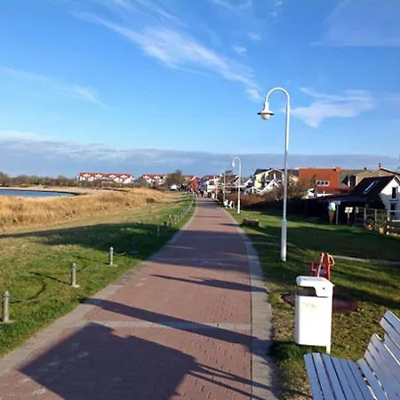 Sea Pine Comfortable * Glowe